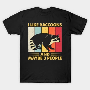 I Like Raccoon And Maybe 3 People Vintage T-Shirt